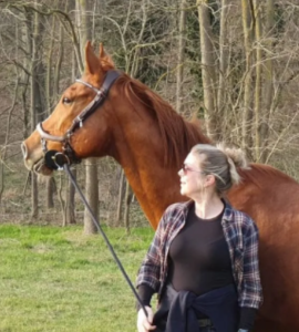 Centered riding diploma, dressuur, dressuur training,dressuur training, horsemanship, dressage, posture & seat, houding & zit, dressuur, training, paard, horse, cheval, travail a pied, Chris Irwin method, les, lesson, cours, workshop