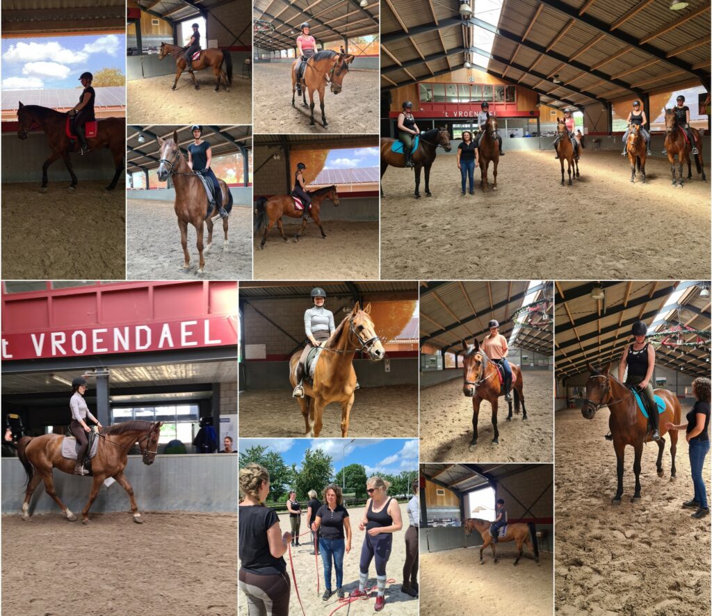 Centered riding diploma, horsemanship, dressage, dressuur,posture & seat, houding & zit, dressuur, training, paard, horse, cheval, travail a pied, Chris Irwin method, les, lesson, cours, workshop