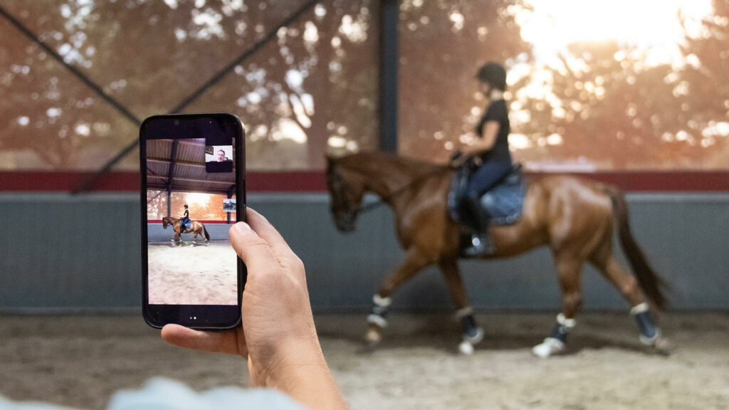 Centered riding diploma, dressuur, horsemanship, dressage, posture & seat, houding & zit, dressuur, training, paard, horse, cheval, travail a pied, Chris Irwin